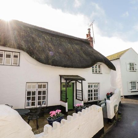 Teign Cottage Teignmouth Ngoại thất bức ảnh